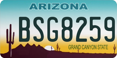 AZ license plate BSG8259