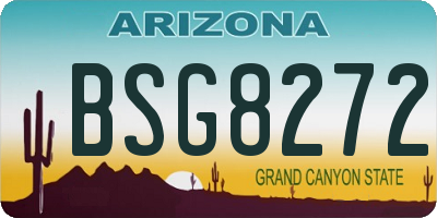AZ license plate BSG8272