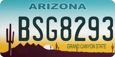 AZ license plate BSG8293