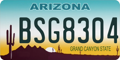 AZ license plate BSG8304