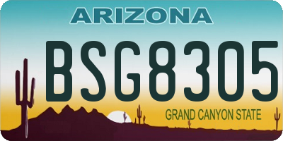 AZ license plate BSG8305