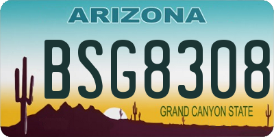AZ license plate BSG8308