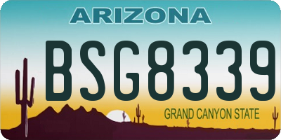 AZ license plate BSG8339