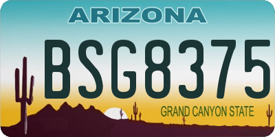 AZ license plate BSG8375
