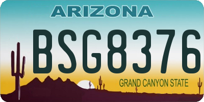 AZ license plate BSG8376