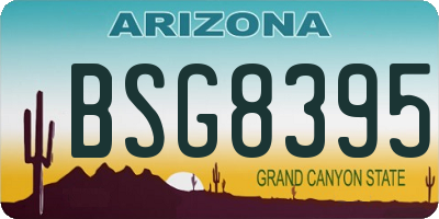 AZ license plate BSG8395