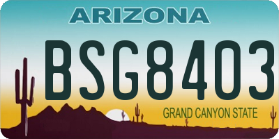 AZ license plate BSG8403