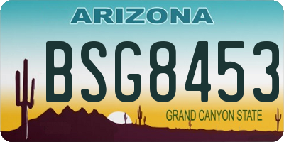 AZ license plate BSG8453