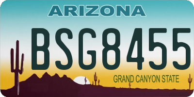 AZ license plate BSG8455