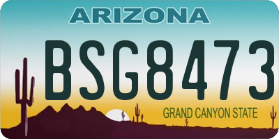 AZ license plate BSG8473