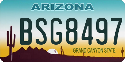 AZ license plate BSG8497