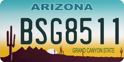 AZ license plate BSG8511