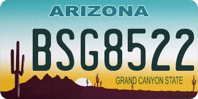 AZ license plate BSG8522