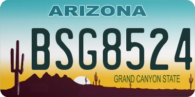 AZ license plate BSG8524