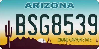 AZ license plate BSG8539