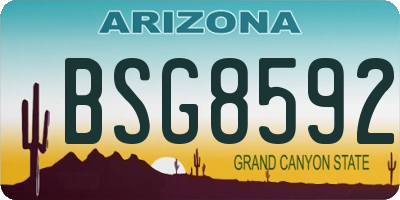 AZ license plate BSG8592