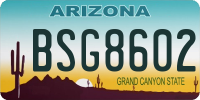 AZ license plate BSG8602