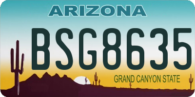 AZ license plate BSG8635