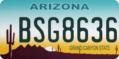 AZ license plate BSG8636