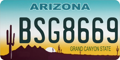 AZ license plate BSG8669