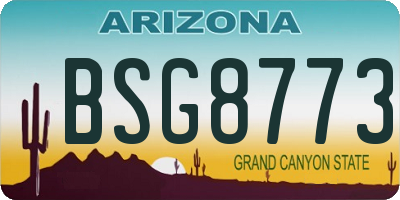 AZ license plate BSG8773