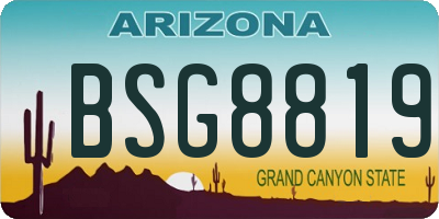 AZ license plate BSG8819