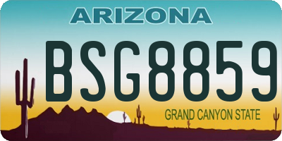 AZ license plate BSG8859
