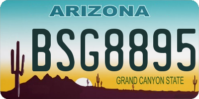 AZ license plate BSG8895