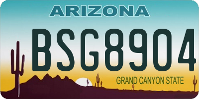 AZ license plate BSG8904