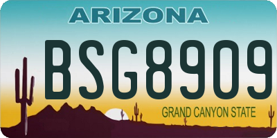 AZ license plate BSG8909