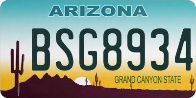 AZ license plate BSG8934