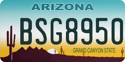AZ license plate BSG8950