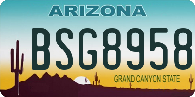 AZ license plate BSG8958
