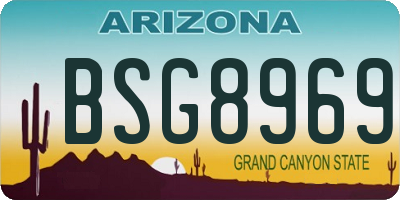 AZ license plate BSG8969