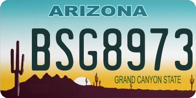 AZ license plate BSG8973