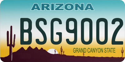 AZ license plate BSG9002