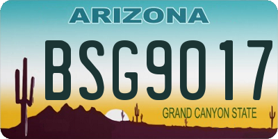 AZ license plate BSG9017
