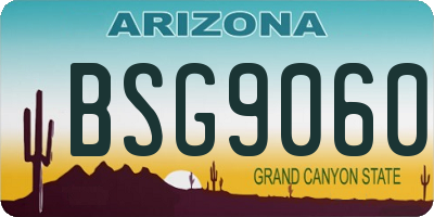 AZ license plate BSG9060