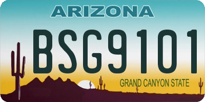 AZ license plate BSG9101