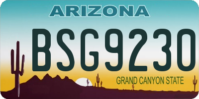 AZ license plate BSG9230