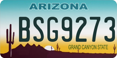 AZ license plate BSG9273