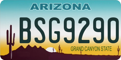 AZ license plate BSG9290