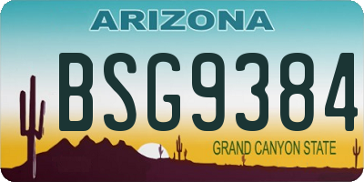 AZ license plate BSG9384