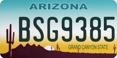 AZ license plate BSG9385