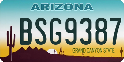 AZ license plate BSG9387