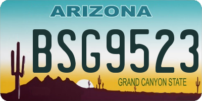 AZ license plate BSG9523