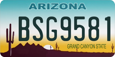 AZ license plate BSG9581