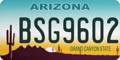 AZ license plate BSG9602