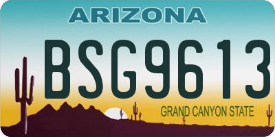 AZ license plate BSG9613