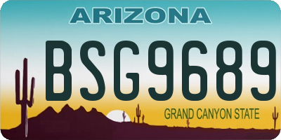 AZ license plate BSG9689